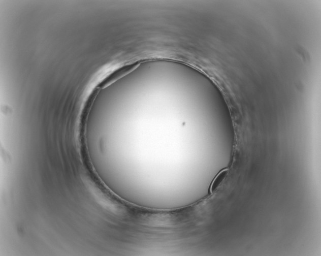 X0000090720104200708101601