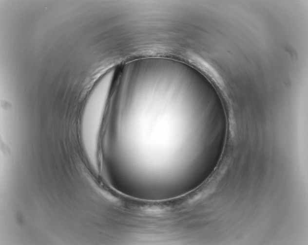 X0000090720105200708101601