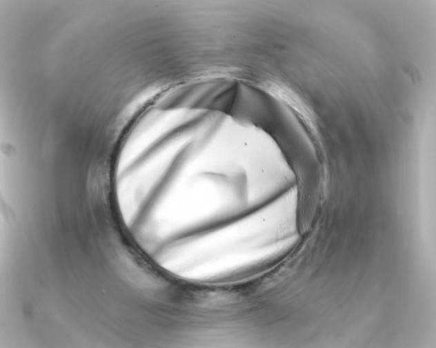 X0000090720107200708101601