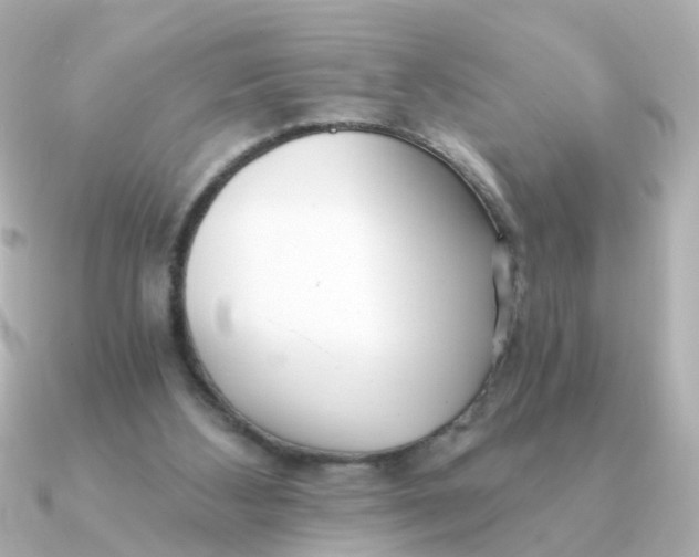 X0000090720108200708101601