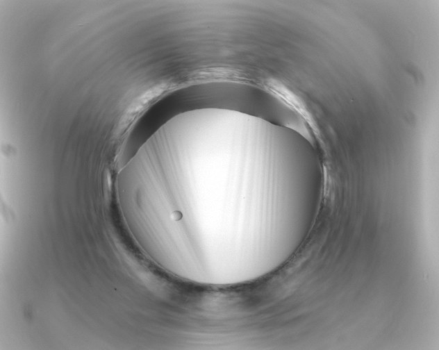 X0000090720109200708101601