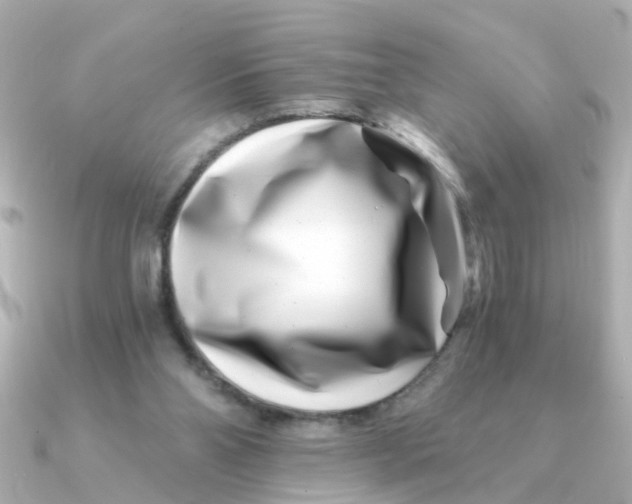 X0000090720110200708101601