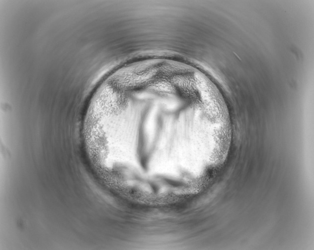 X0000090720111200708101601