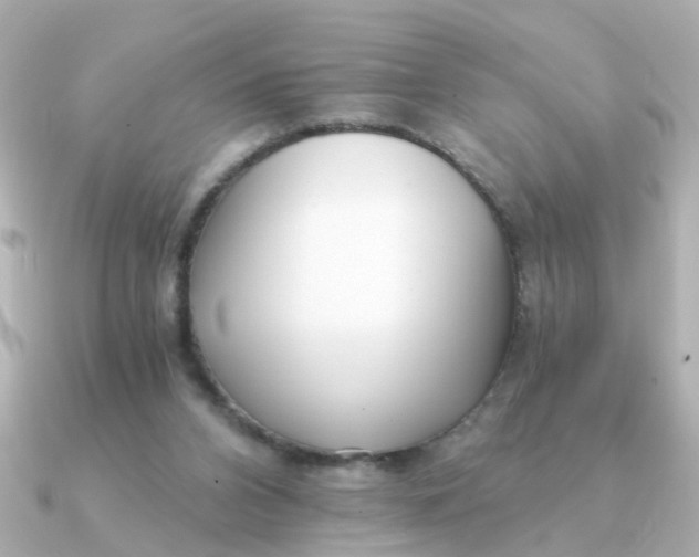 X0000090720112200708101601