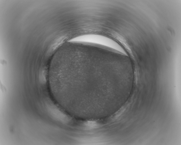 X0000090720114200708101601