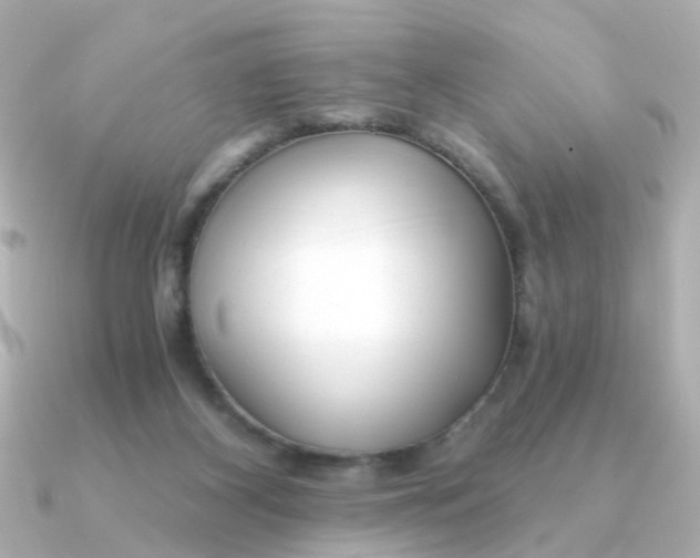 X0000090720116200708101601