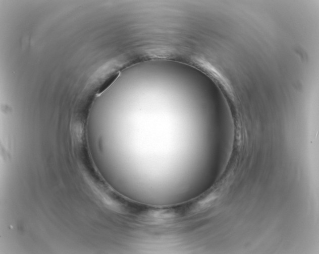 X0000090720117200708101601