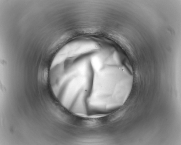 X0000090720118200708101601