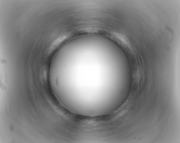 X0000090720120200708101601