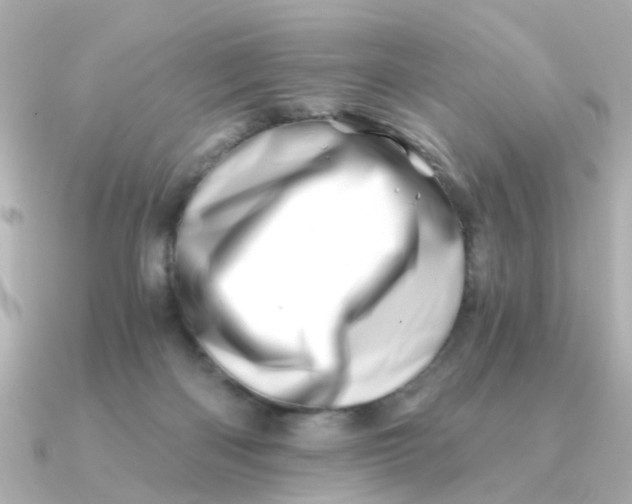 X0000090720122200708101601