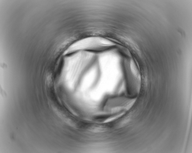 X0000090720123200708101601