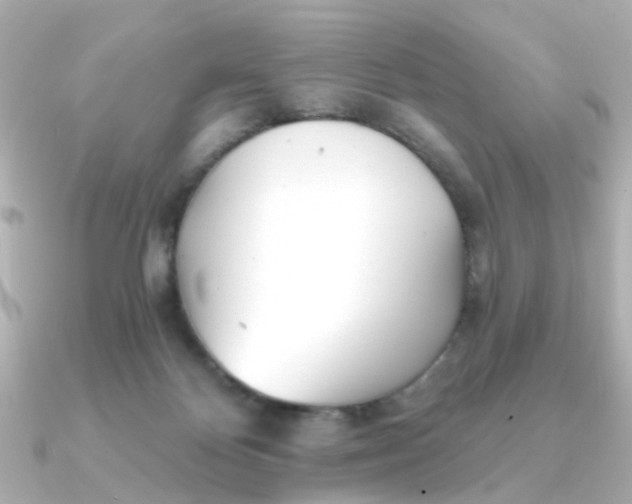 X0000090720124200708101601