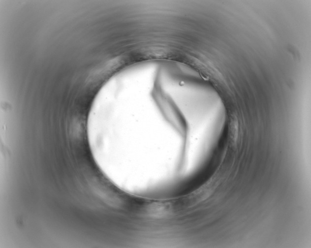 X0000090720126200708101601