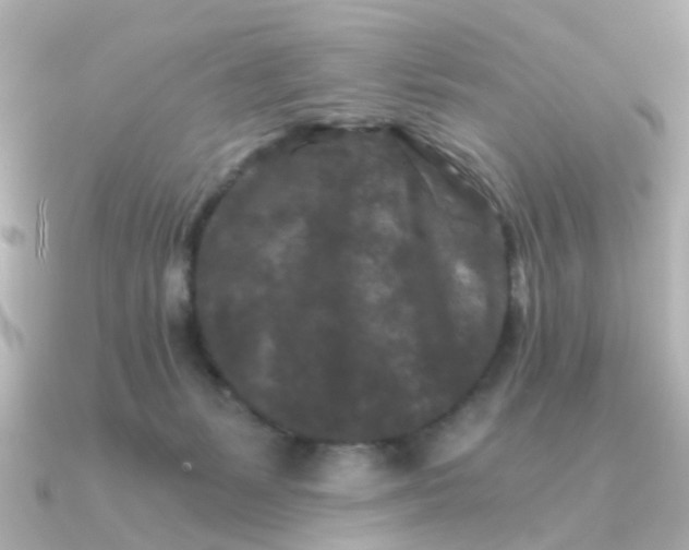 X0000090720127200708101601