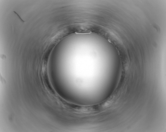 X0000090720129200708101601