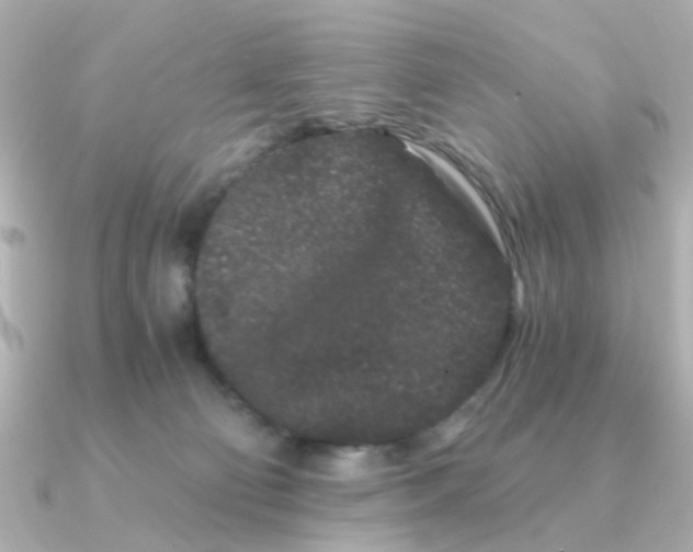 X0000090720130200708101601