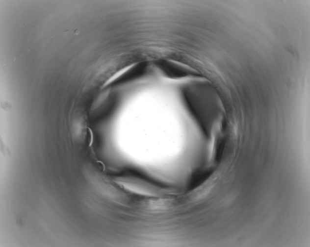 X0000090720134200708101601