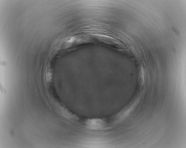 X0000090720137200708101601