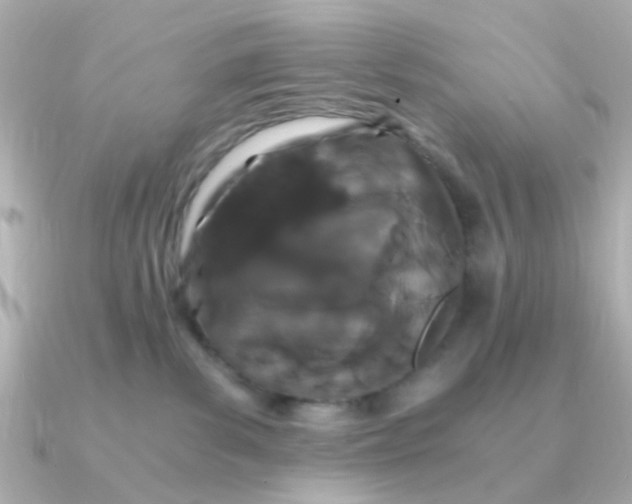 X0000090720139200708101601