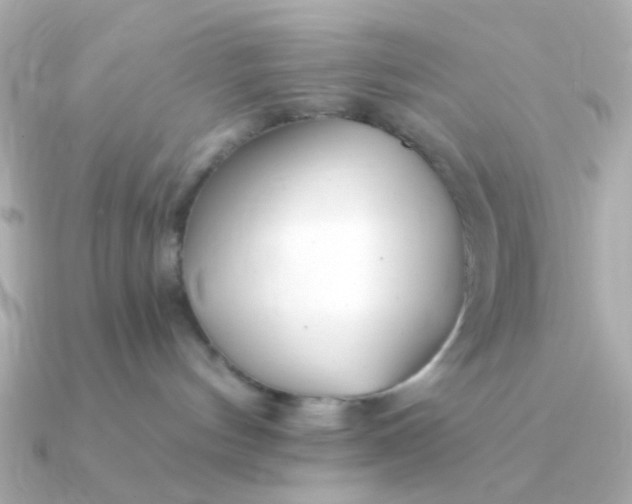 X0000090720144200708101601