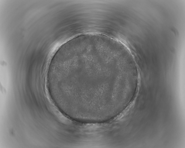 X0000090720145200708101600