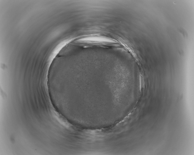 X0000090720147200708101600