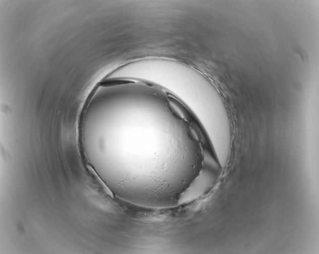 X0000090720148200708101600