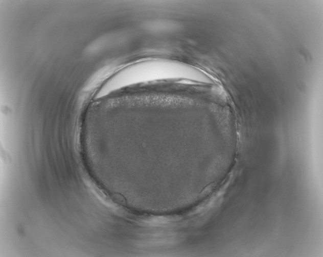 X0000090720149200708101600