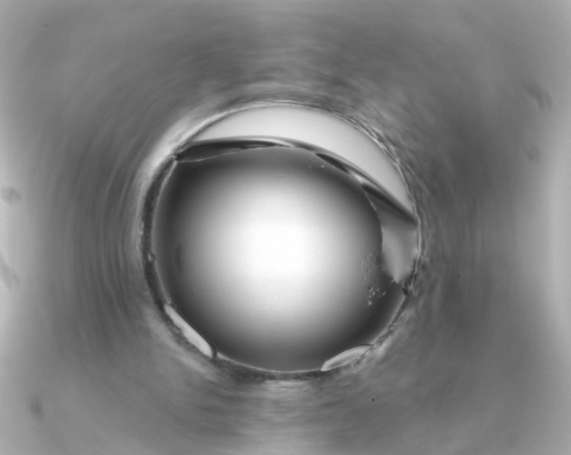 X0000090720150200708101600