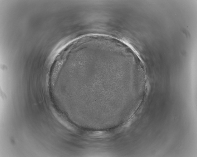 X0000090720151200708101600