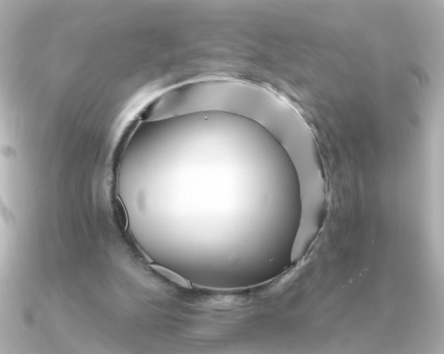 X0000090720152200708101600