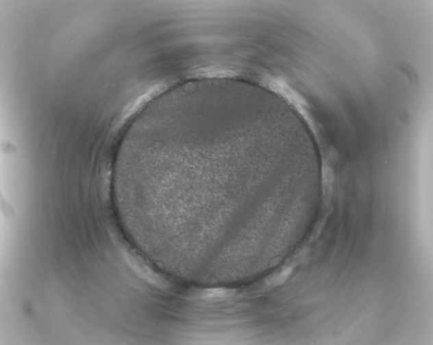 X0000090720153200708101600