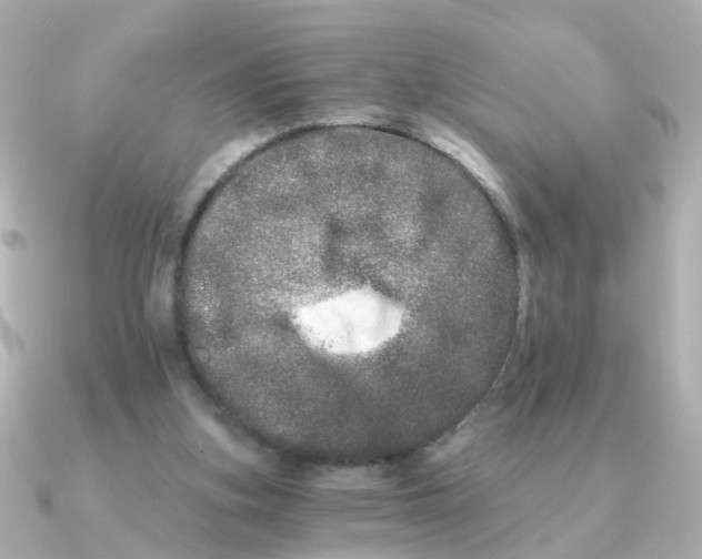 X0000090720155200708101600