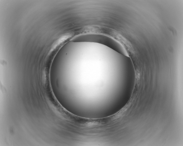 X0000090720158200708101600