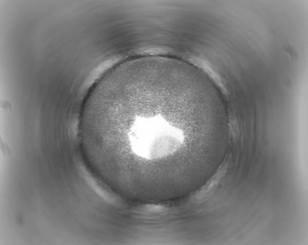 X0000090720159200708101600