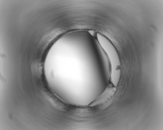 X0000090720160200708101600