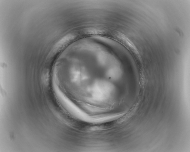 X0000090720163200708101600