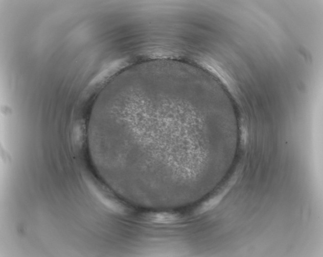 X0000090720165200708101600