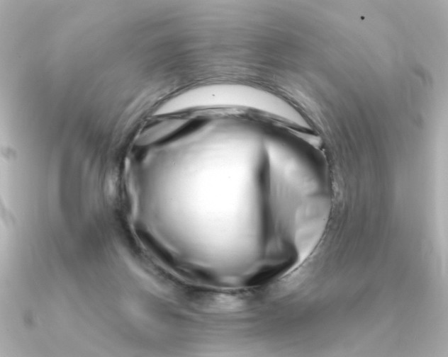 X0000090720166200708101600