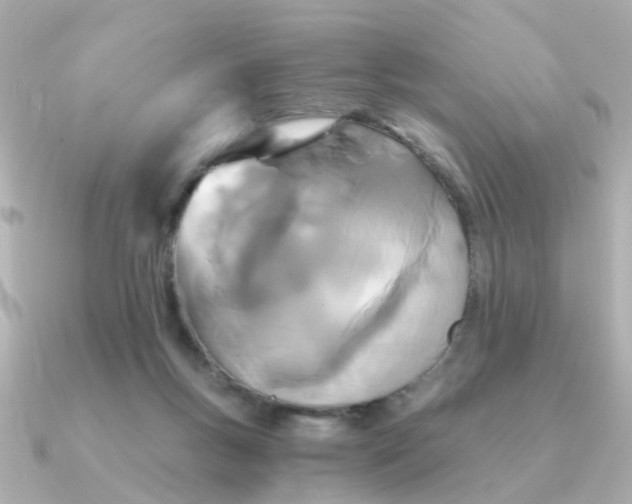 X0000090720167200708101600