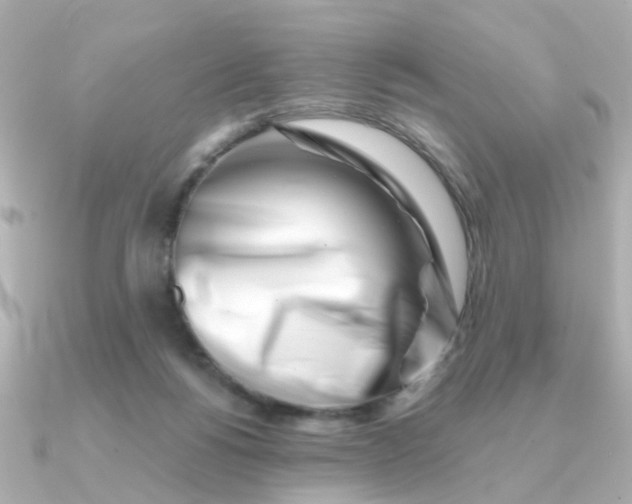 X0000090720168200708101600