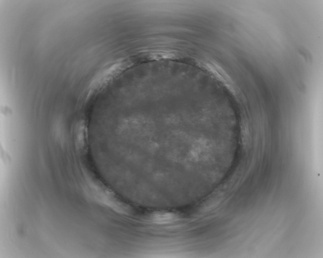 X0000090720169200708101600