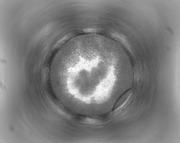 X0000090720171200708101600