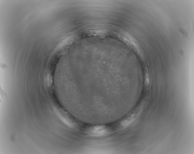 X0000090720173200708101600