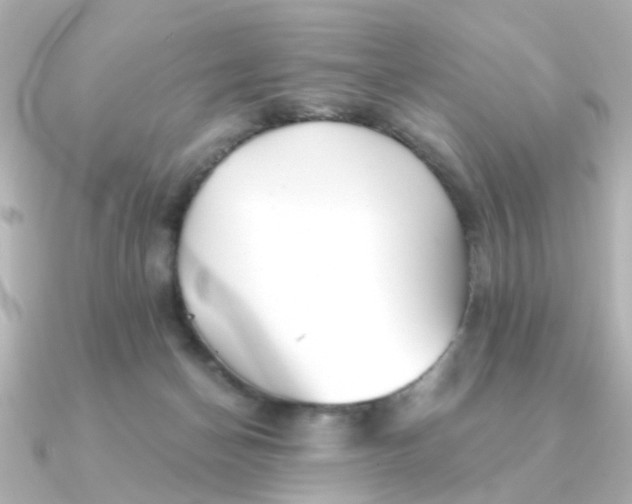 X0000090720174200708101600