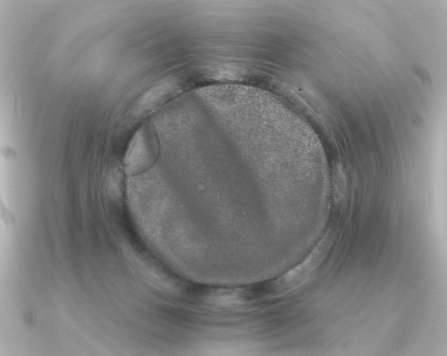 X0000090720175200708101600