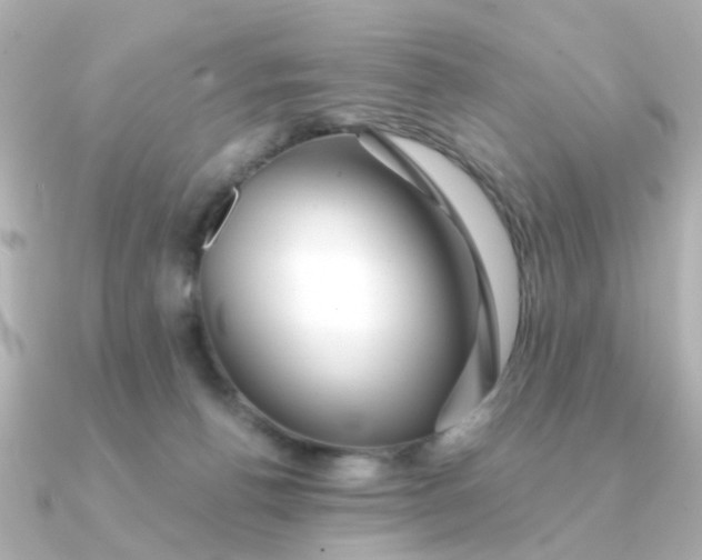 X0000090720176200708101600