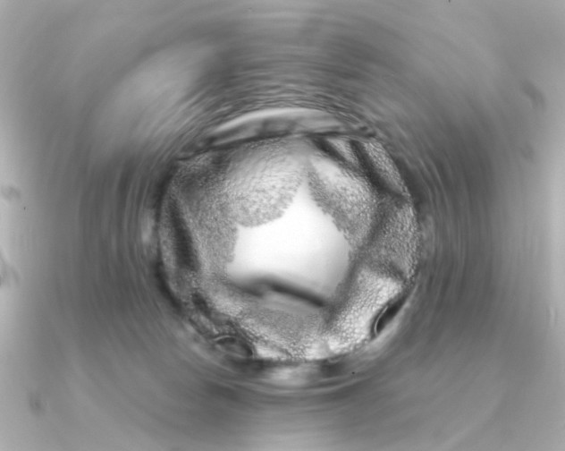 X0000090720178200708101600