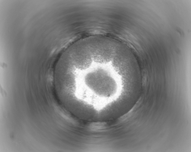 X0000090720179200708101600