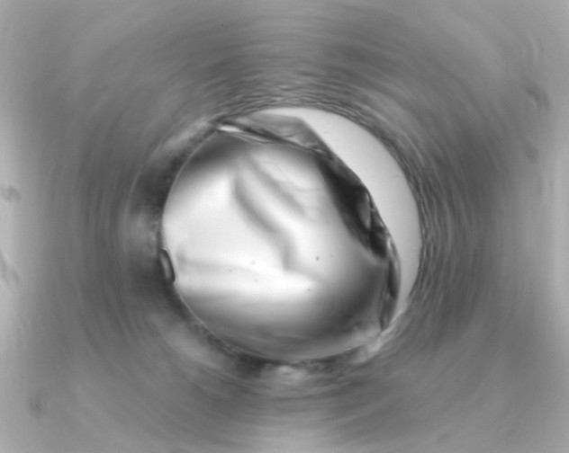 X0000090720180200708101600